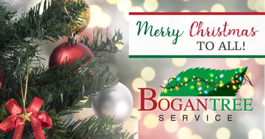 Wishing Everyone a Great Holiday! Bogan Tree Service