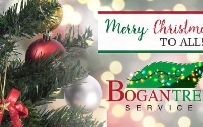 Wishing Everyone a Great Holiday!