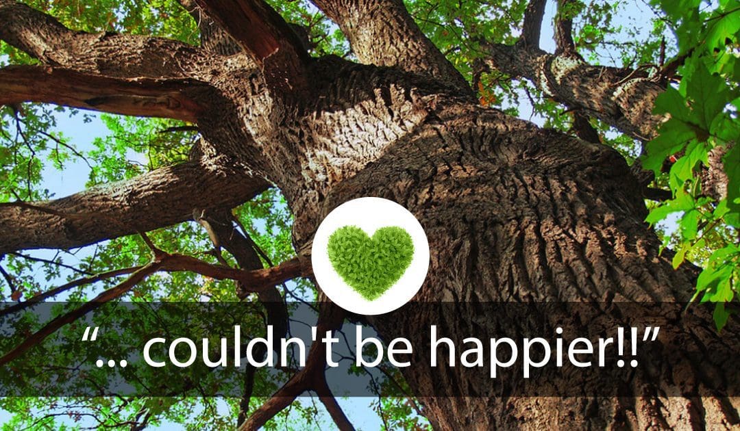 “Had two huge trees taken down…and couldn’t be happier!!”