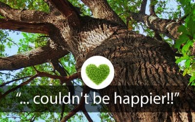 “Had two huge trees taken down…and couldn’t be happier!!”