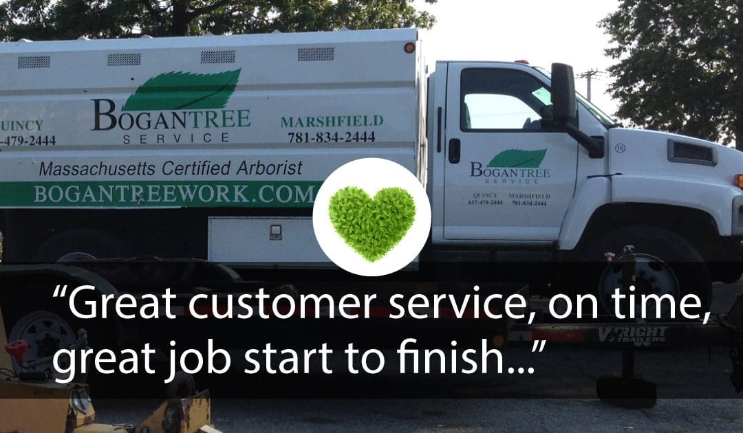 “Great customer service, on time, great job start to finish…”