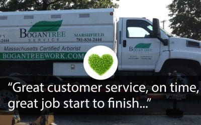 “Great customer service, on time, great job start to finish…”