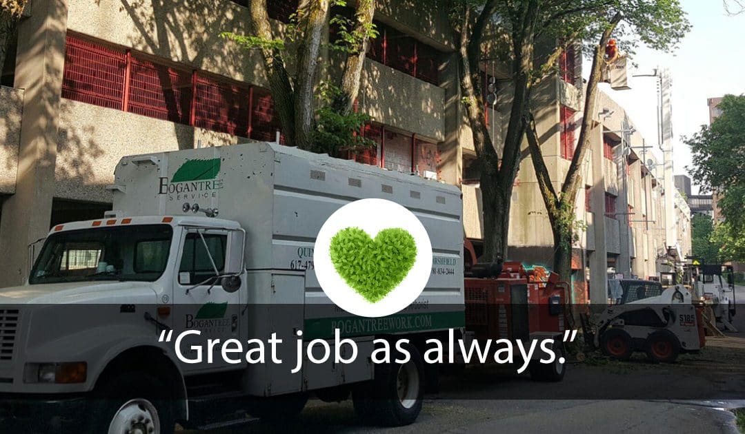 “Great job as always”