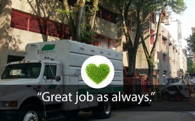 “Great job as always”