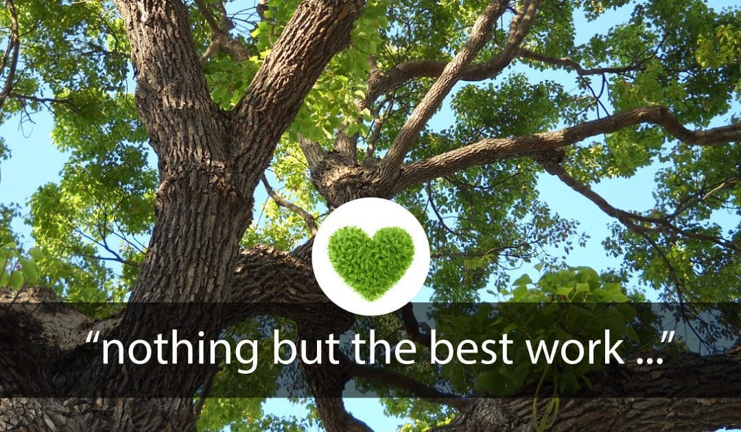 “…Nothing but the best work…”