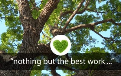 “…Nothing but the best work…”