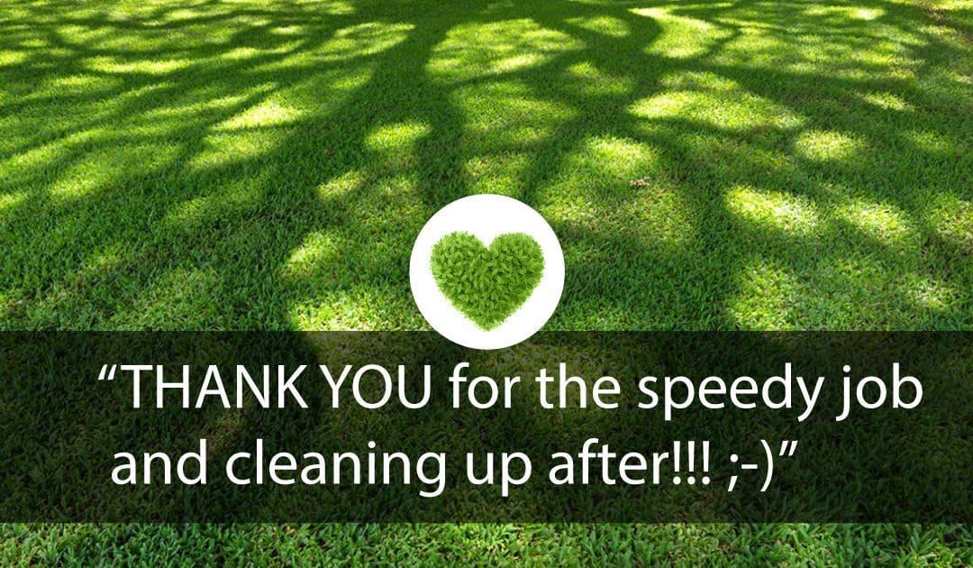 THANK YOU for the speedy job and cleaning up after!!! ;-)