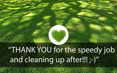THANK YOU for the speedy job and cleaning up after!!! ;-)