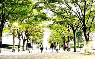 Nature Conservancy | Funding Trees for Health