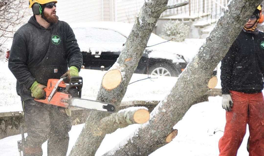 Challenges Of Tree Work: During And After Winter Storms – Tree Services
