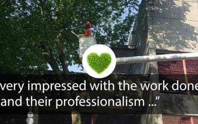 “…Very impressed with the work done and their professionalism…”