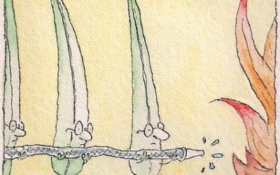 Why the Forest Doesn’t Fear the Fire – The New York Times