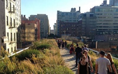 Nature boosts your mental health, and you don’t even have to leave the city to reap the benefits