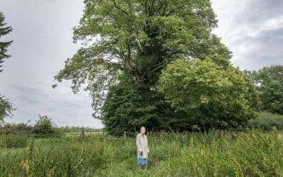 13 of Europe’s most fascinating trees : TreeHugger