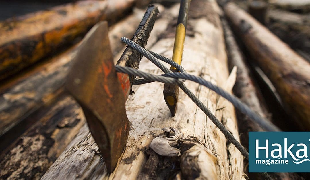 The Trees That Sail to Sea | Hakai Magazine
