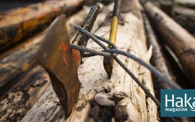 The Trees That Sail to Sea | Hakai Magazine