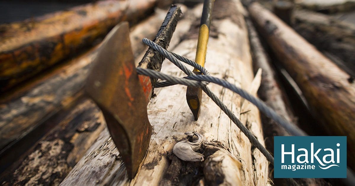 Driftwood