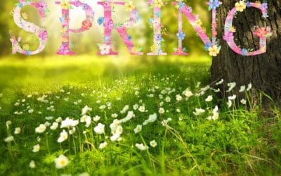 Happy Thought for the Day: Only 1 More Month Until Spring!