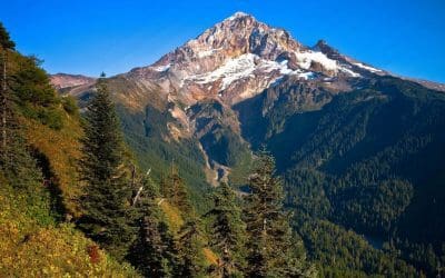 14 Most “Instagram-able” National Forests – National Forest Foundation
