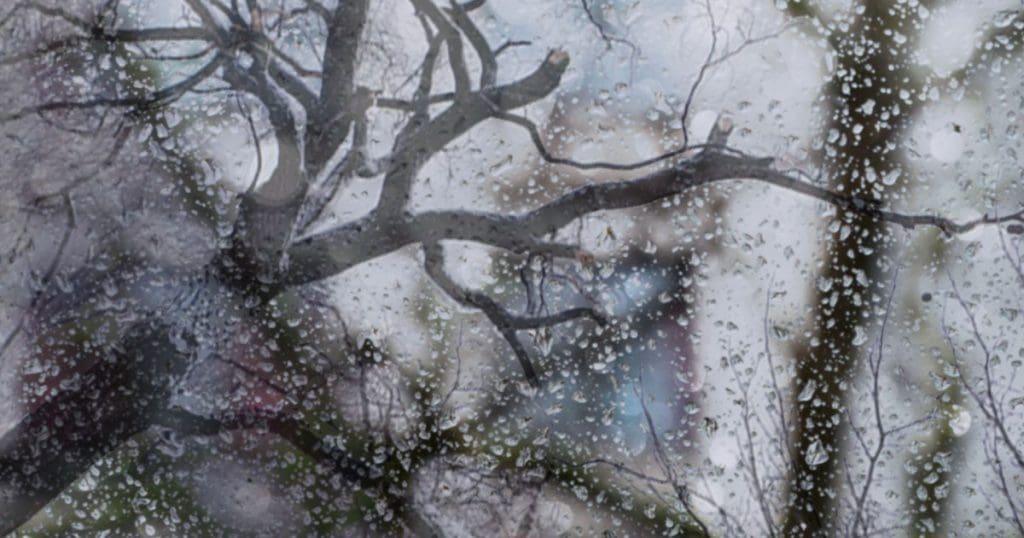Massachusetts emergency tree care, rain thru window, branch