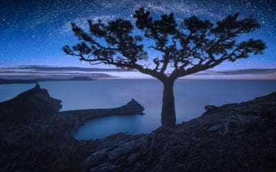 15 astounding facts about trees | MNN – Mother Nature Network