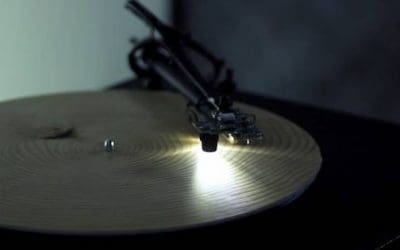 Turns out tree rings can be played on a turntable | MNN – Mother Nature Network