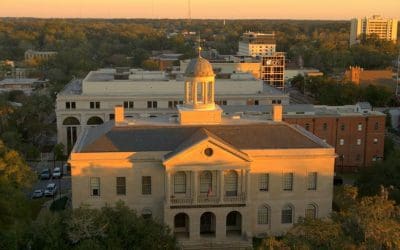 As cities grow, so does the need for urban trees | MNN – Mother Nature Network