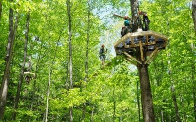 6 Amazing Treetop Adventures You Can Only Have In Massachusetts