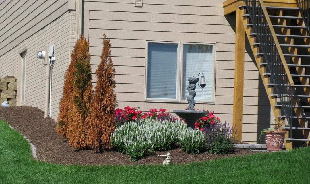 Weather’s Impact On Trees – Tree Services