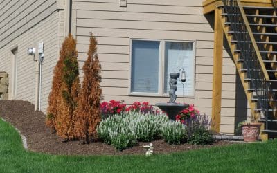 Weather’s Impact On Trees – Tree Services