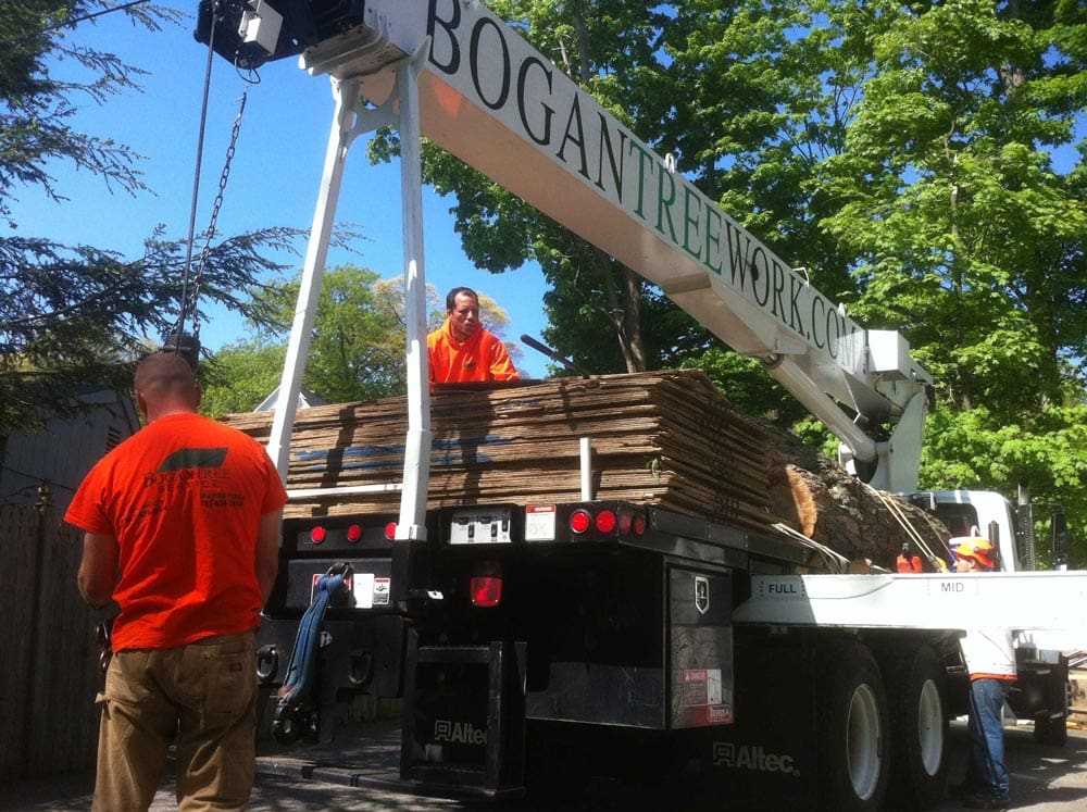 alt tagarborist jobs massachusetts 2