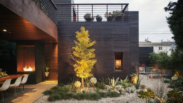 Venice Beach Bungalow Built to Preserve the Trees