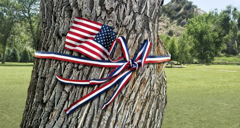 tree care memorial day