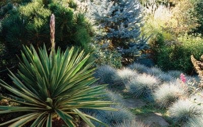 Landscape with Ornamental Grass | Better Homes & Gardens