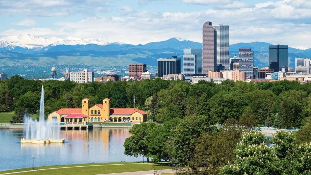 Denver urban forest