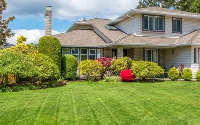 Help Your Trees Resist Pests – Try IPM