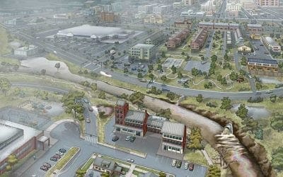 Trees Tame Stormwater at arborday.org