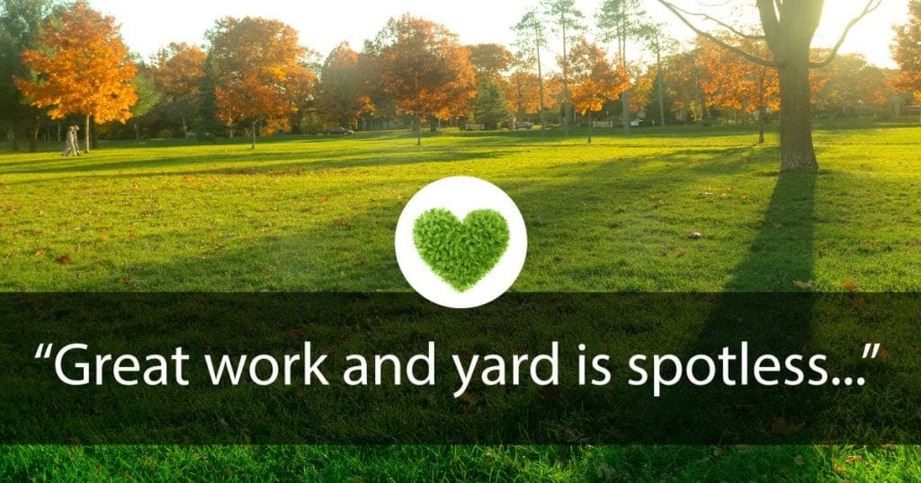 great work and yard is spotless
