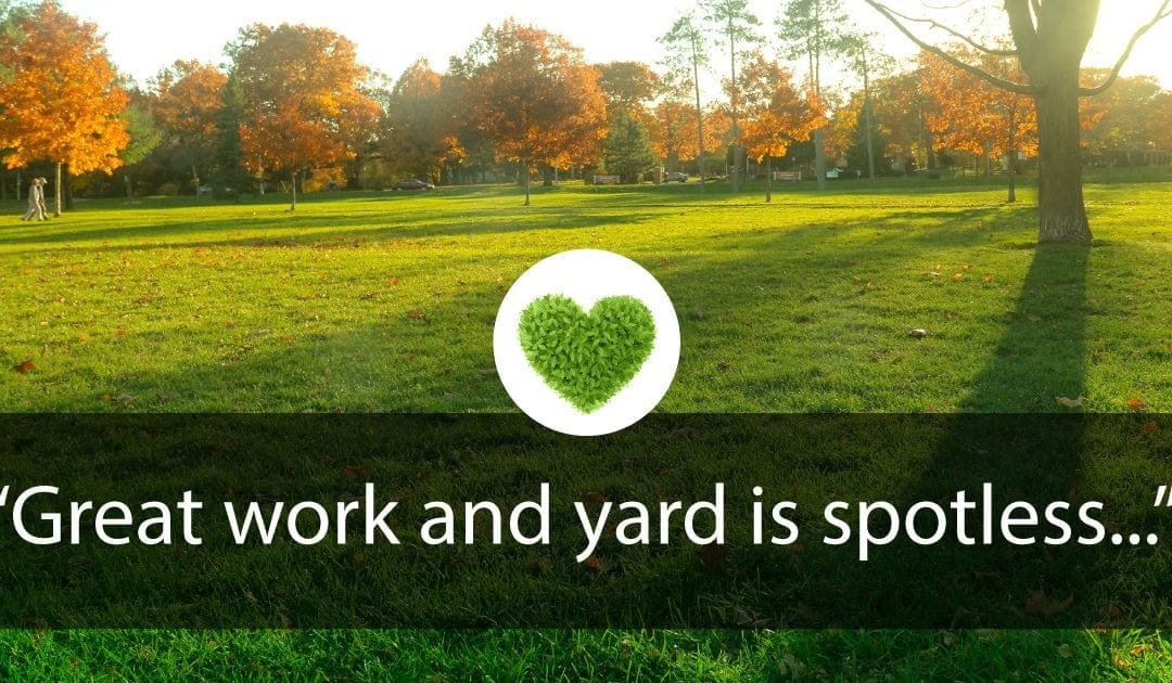 Great work and Yard is Spotless…