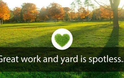 Great work and Yard is Spotless…