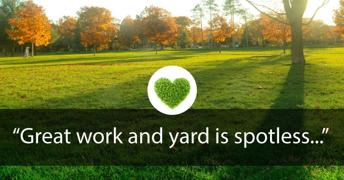 Great work and Yard is Spotless… | Bogan Tree Service