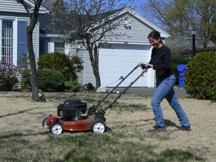 Want to help bees? Take a break from lawn mowing