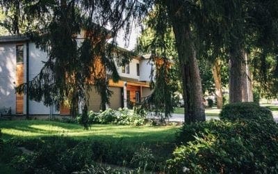 Do ticks live in trees?