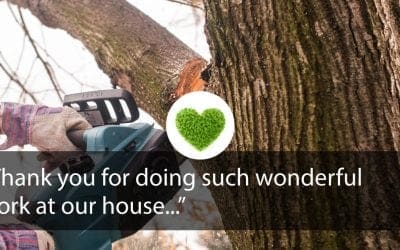 Thank you for doing such wonderful work at our house…