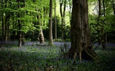 Being Outside Changes Your Brain In These 5 Unexpected Ways