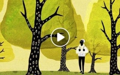 What is the Wood Wide Web? • BBC Radio 4