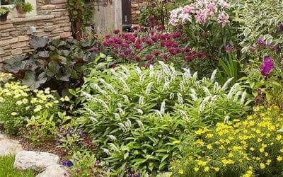 Seasonal Landscape Maintenance | Better Homes & Gardens