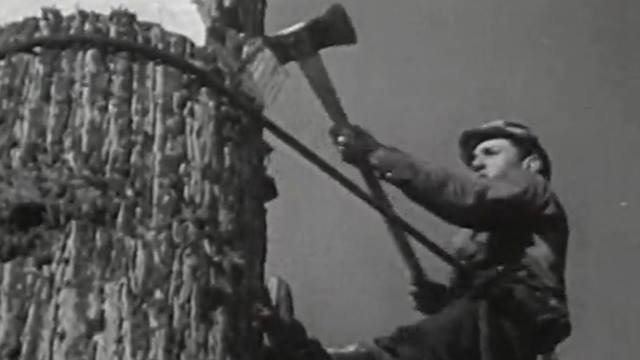 1940s lumberjack