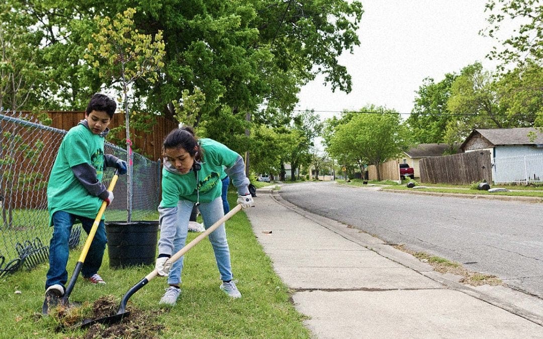 A simple solution to help cities fight overheating: more trees