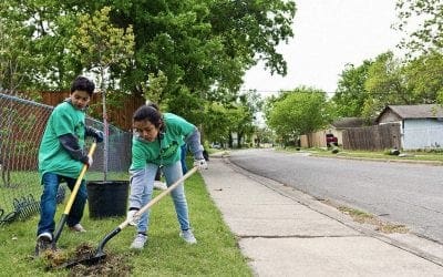 A simple solution to help cities fight overheating: more trees